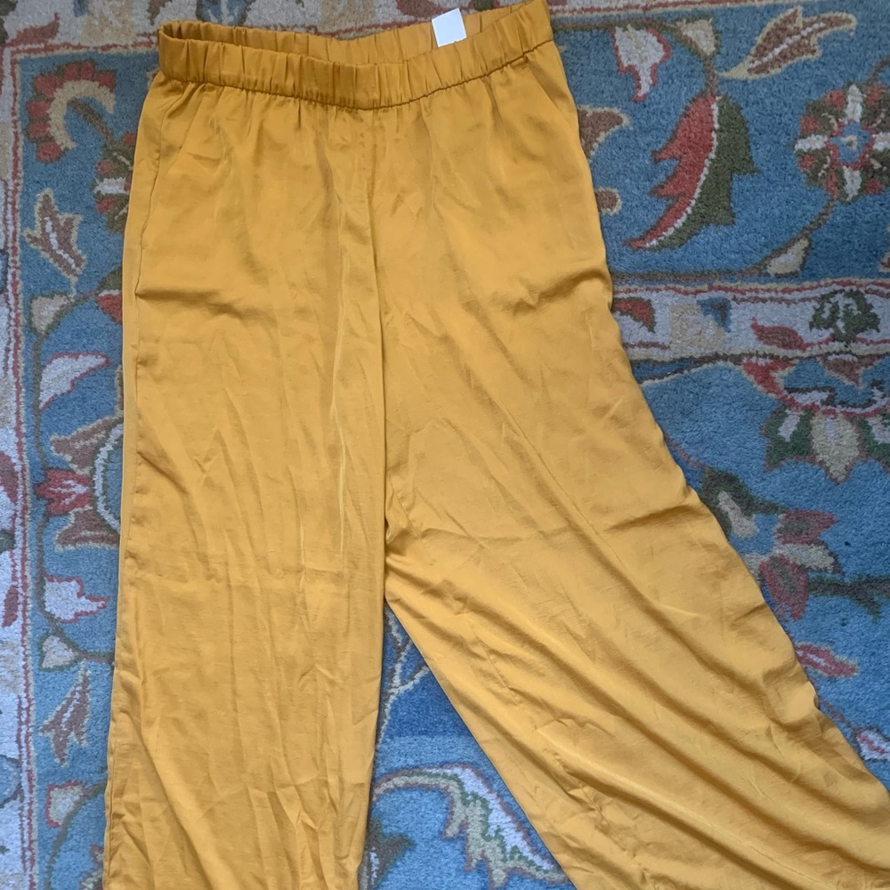Silky Golden Pants | Banana Republic Factory